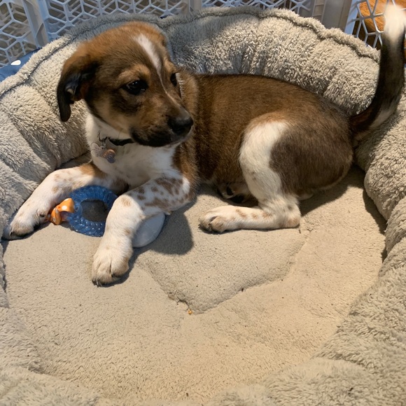 Meet the posher - Picture 5 of 5